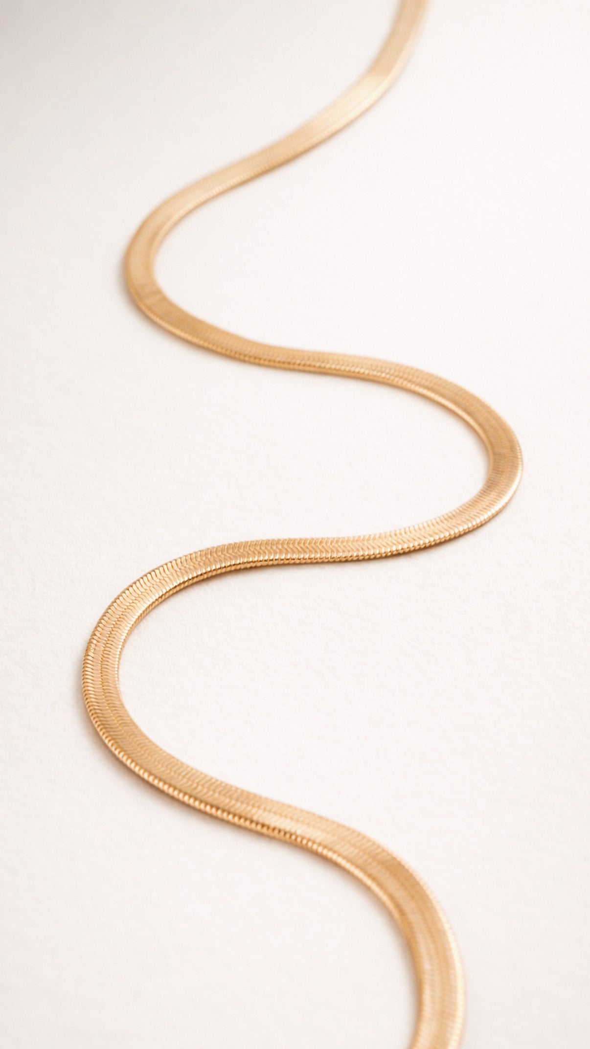 The Snake Chain Necklace